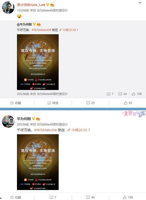 爆料魏莹视频大全最新版,揭秘幕后真相与精彩瞬间