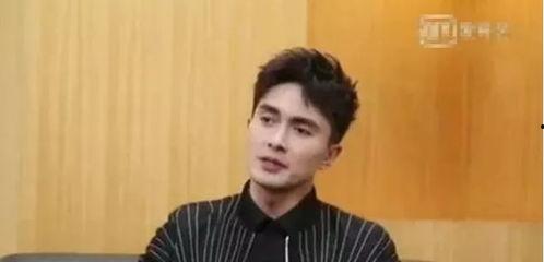 高伟光马伊琍最新爆料,揭秘幕后故事与情感纠葛