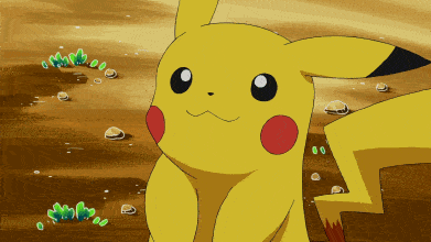 宁波皮卡丘最新爆料,揭秘神奇宝贝的神秘生活