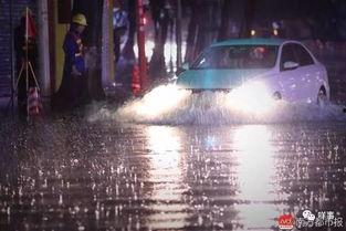 爆料广州暴雨视频最新,城市抗洪纪实