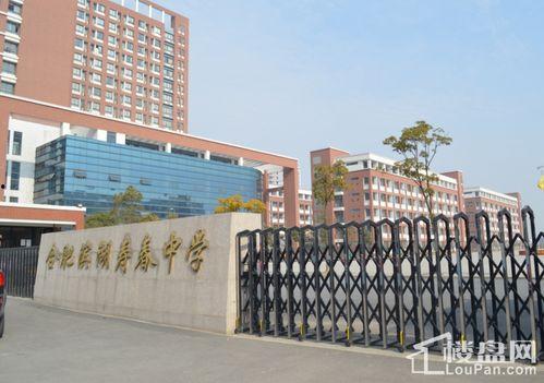 合肥高中爆料事件最新进展,真相逐步浮出水面，官方调查进展如何？